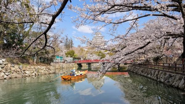 春は「始めどき」の季節🌷